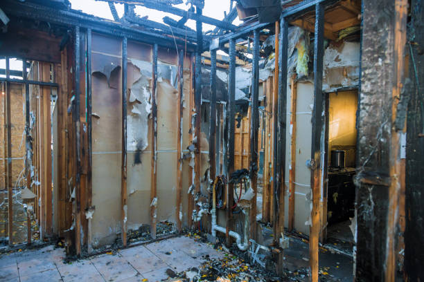 Professional Fire Damage Removal technician working in Toccoa, GA